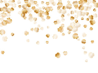 Gold seashells vector, golden pearl bivalved mollusks.