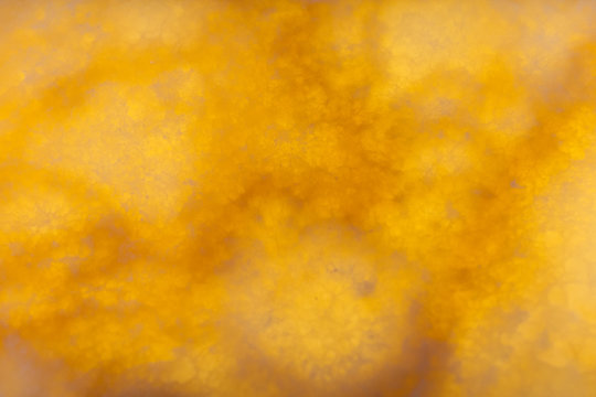 Fantastic backlit marble background or texture