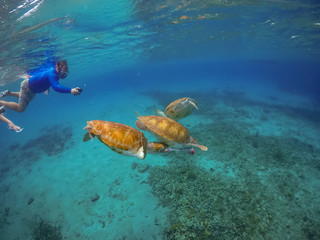   Swimming with Turtles Views around the small Caribbean Island of Curacao