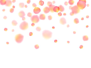 Rose gold petals flying cosmetics vector background.