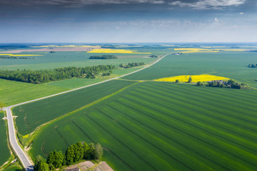 Agricultural fields in spring time.