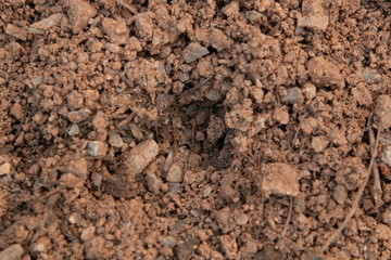 ground textured with rock and stone .