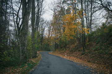 Obraz premium Exploring gravel roads near Hruba Voda, Domasov and surrounding military area
