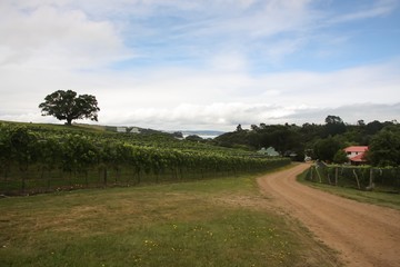 Fototapeta na wymiar Countryside view, pathway to the village