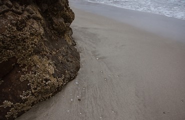 wild beach background, sand anr rock