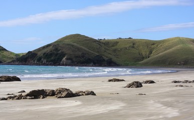 Wild beach and a green valley, ocean in New Zealand