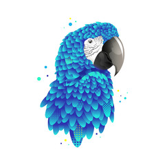 Graphic blue parrot, macaw bird isolated vector illustration with blue feathers © Element_Paradise