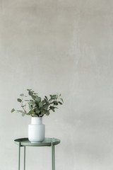 tropical plant decoration interior with copy space , bare cement background , vertical picture minimal style .