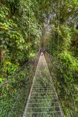 Hikers on a rope bridge across the jungle canopy