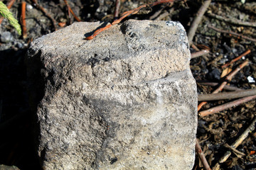 The photo shows a brick, next to him are sticks, rods, stones, earth, coals from the fire. The brick lies in a place where there was a fire earlier