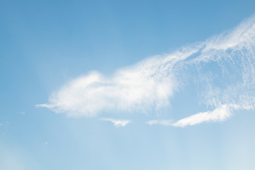Naklejka na ściany i meble white cirrus clouds in blue sky .