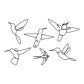876,726 BEST Bird IMAGES, STOCK PHOTOS & VECTORS | Adobe Stock