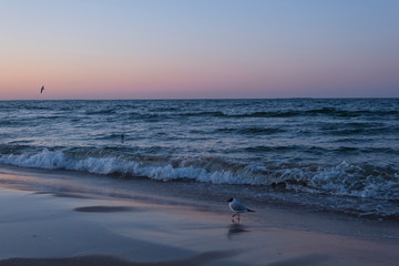 Usedom baltic sea sunset light outdoor