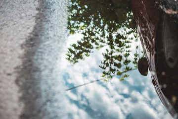 Fototapete bei efototapeten.de bestellen   