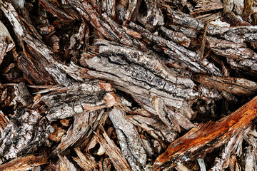 Chips of tree bark on the ground. Sawmill. Ecological background