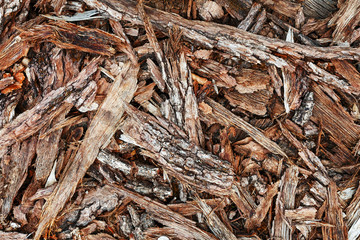 Chips of tree bark on the ground. Sawmill. Ecological background