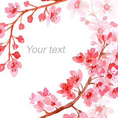 Watercolor painting of cherry blossom branches forming border on white background with space for text. Template design.