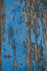 Old wood texture
