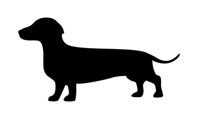 Dachshund icon. Dog standing silhouette. Vector illustration isolated