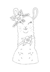 Illustration of a black ink drawing of an animal alpaca among flowers and plants on an isolated white background.