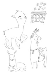 Illustration of a black ink drawing of an animal alpaca among flowers and plants on an isolated white background.