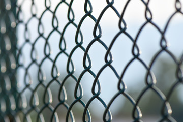 Fototapeta premium The grid the chain-link encloses the protected territory.