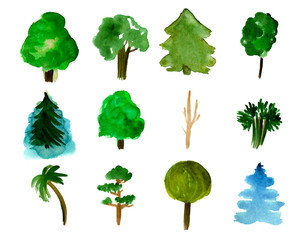 Set of 12 trees isolated on white background, hand-drawn watercolor illustration of pine, fir, willow, palm and other
