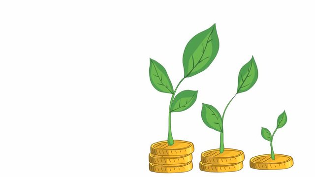 Animation of gold coins with green shoots of various sizes grow up. increase in cash savings