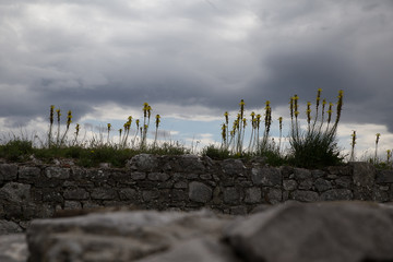 Mauer der Burg Rozafa bei Shkodra, Albanien