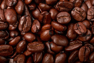 Fototapeta premium aromatic roasted coffee beans on white background
