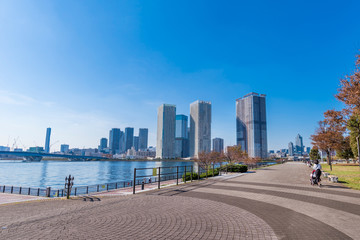 豊洲 晴海橋公園とウォーターフロントの風景
