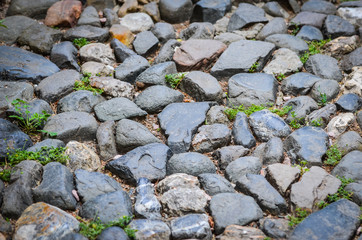 close up of the abstract walls - wallpaper design & bricks