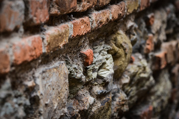 close up of the abstract walls - wallpaper design & bricks