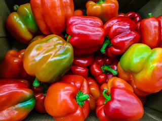 Red bell pepper for vegetarians, healthy food.
