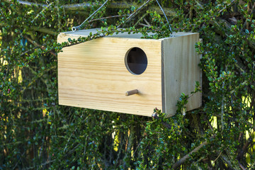 Hut and feeder for wild birds. With food for birds.