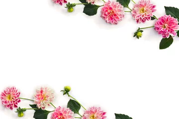 Zelfklevend Fotobehang Frame of dahlia flowers on a white background with space for text. Top view, flat lay © Anastasiia Malinich