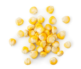 Corn grain on a white background, isolated. The view of the top.