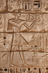 Egyptian Hieroglyphs in Medinet Habu Temple, Luxor, Egypt