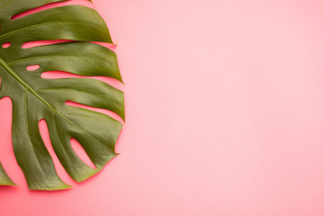 Summer tropical leaves on a pink color background
