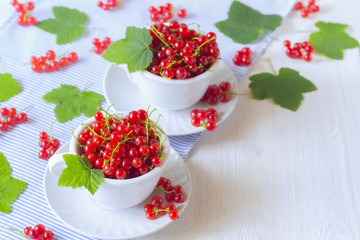 berries red currants in white cups close-up. background with red currant and currant leaves on the table.