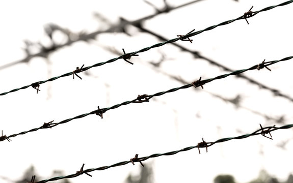 barbed wire also on the border without people