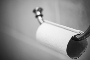 finished toilet paper on holder