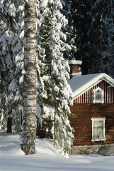 Old abandoned wooden cottage in snowy winter forest