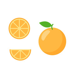 Icon set of orange fruit, vector illustration flat style