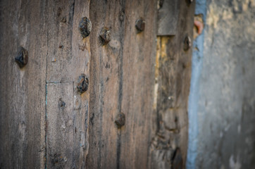 close up of the abstract walls - wallpaper design & bricks