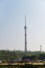 Fototapeta premium Pyongyang, North Korea. TV tower