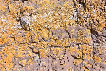 Texture Sandstone