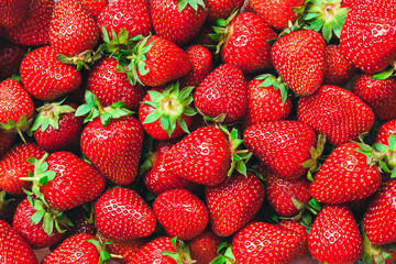 a lot of ripe juicy strawberries - background