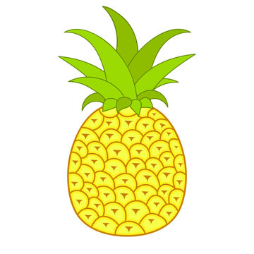 Summer Fruits For Healthy Lifestyle. Pineapple Fruit. Vector Illustration Cartoon Flat Icon Isolated