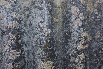 Cracked worn rough grunge texture